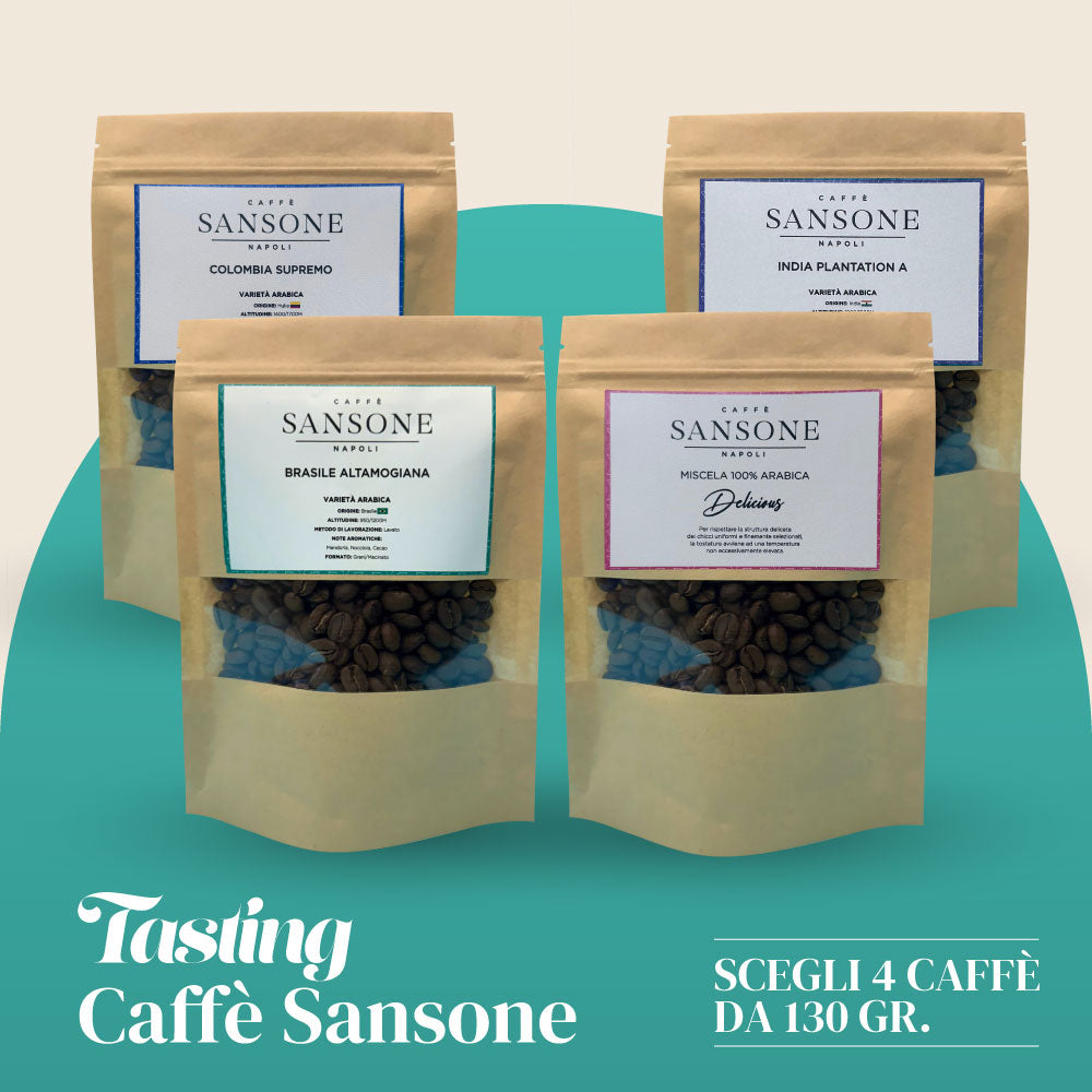 Sansone Discovery Box Plus